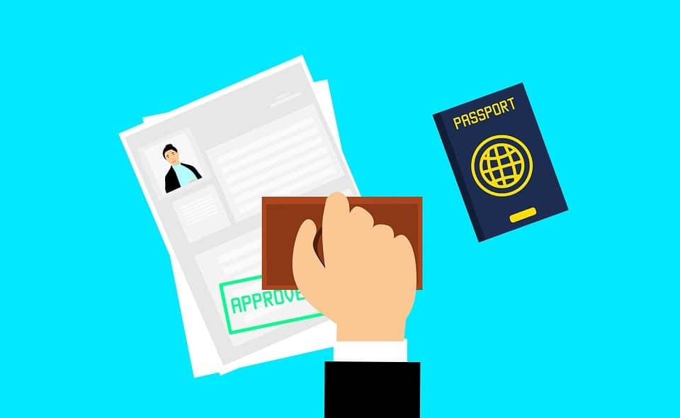 immigration consultant