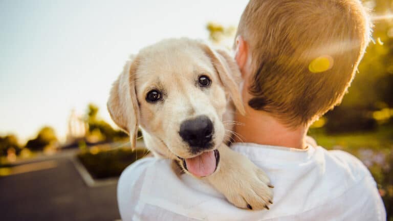 9 Questions to Ask Your Potential Breeder